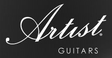 Artist Guitars NZ Coupon Codes